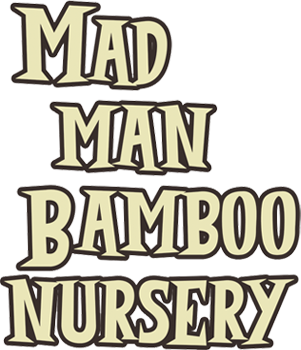 Mad Man Bamboo Nursery